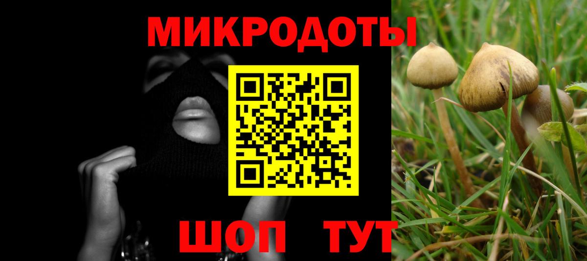 Псилоцибиновые грибы GOLDEN TEACHER  Галлюциногенные грибы Psilocybe  Юрга  Вход с VPN 